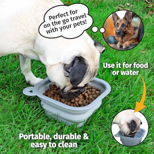 Mobile Dog Gear Small Collapsible Dog Water Bowls for Travel (Set of 2, 2 Cups Each) - Portable Foldable Bowl for Feeding Pets, Cats & Dogs - Easy to Clean Silicone Dish, Great for Camping & Traveling