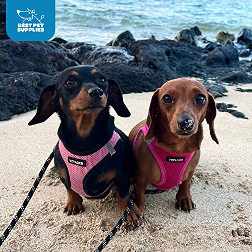 Best Pet Supplies Voyager Step-in Air Harness - All Weather Mesh, Reflective, No Pull Harness for Dogs, Cats - Secure with Hook & Loop Fastener, Buckle, Double D-Rings - Fuchsia, S