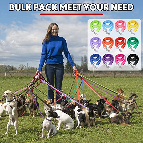 Hillban 12 Pcs Nylon Puppy Training Leash Bulk 5ft Dog Leash for House Line 12 Colors Puppy Line Traction Rope for Small Medium Dog Training, Play, Camping, or Backyard(Modern Colors)