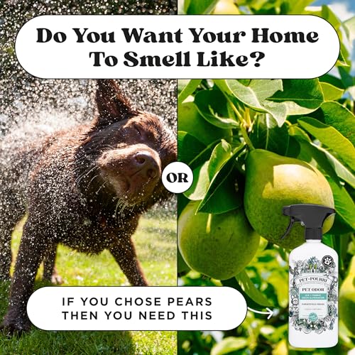 Pet-Pourri Pawsitively Fresh Pet Odor Deodorizer Spray, 16 Fl Oz, Up to 800 Uses, Air + Fabric Odor Remover with Essential Oils & Plant Based Ingredients, Vet Recommended, Pineapple, Jasmine & Pear