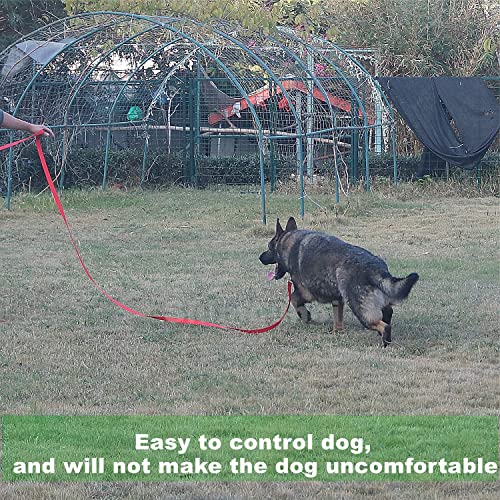 Siumouhoi Strong Durable Nylon 10ft Long Dog Training Leash, Traction Rope, 1 Inch Wide, for Small and Medium Dog (Black, 10 Feet)