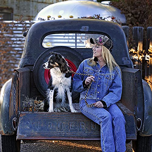 Mendota Pet Slip Leash - Dog Lead and Collar Combo - Made in The USA - for Large Breeds - Black, 1/2 in x 6 ft