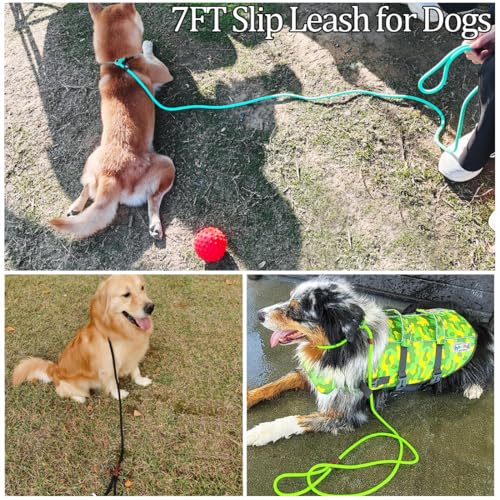MayPaw Slip Lead Control Leash for Dogs No Pull, 13+ Colors Classic Dog Lead 7 FT Pet Slip Leash, 1/4” Rope Leashes for Small Medium Animals (7ft*1/4", Black)