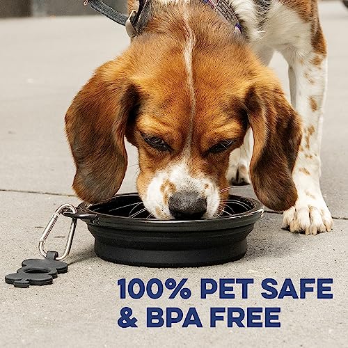 Bonza Collapsible Dog Bowl - Portable Travel Water Bowl for Dogs - Dishwasher Safe Silicone Pet Dish - Collapsible Pet Dish with Carabiner Clip - 50 Oz, X-Large, Navy Blue