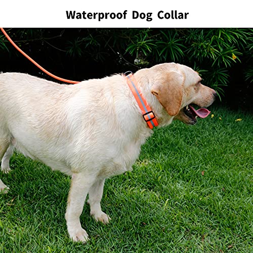 Nimble Reflective Waterproof Dog Collar Adjustable Odor Resistant Easy Clean Pet Collar for Small Medium Large Dogs Night Walking Outdoor Rainy Use (Large (15.35”-24.8”inches), Orange)