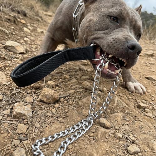 CtopoGo Heavy Duty Dog Leash,Metal Dog Chain Leash with Padded Handle for Large & Medium Size Dogs (6 ft. x 3.0 mm (25-120 lbs.))