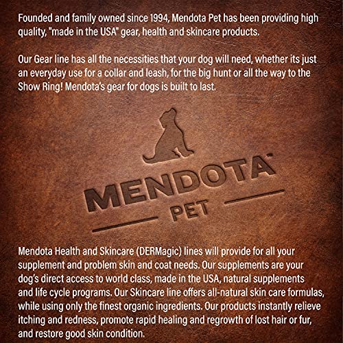 Mendota Pet Slip Leash - Dog Lead and Collar Combo - Made in The USA - for Large Breeds - Black, 1/2 in x 6 ft