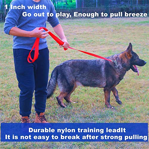 Siumouhoi Strong Durable Nylon 10ft Long Dog Training Leash, Traction Rope, 1 Inch Wide, for Small and Medium Dog (Black, 10 Feet)