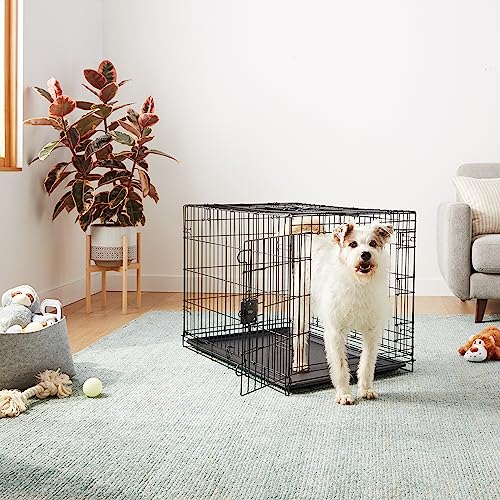 Amazon Basics Portable, Easy to Assemble, Foldable Metal Wire Dog Crate with Removable Tray, Double Door, Divider Panel, Handle, 36" x 23" x 25", Black