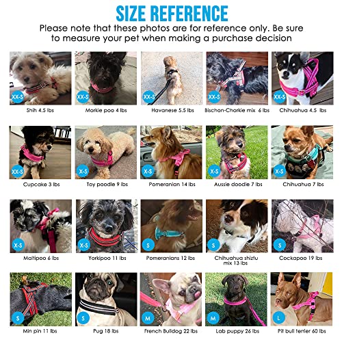 Lukovee No Pull Dog Harness and Leash Set, Soft Padded Small Dog Harness, Neck & Chest Adjustable Reflective Vest Puppy Harness with 4ft Lightweight Anti-Twist Dog Leash for Small Dogs (XS, Blue)