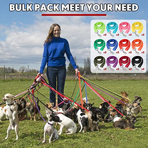 24 Pack Nylon Dog Training Leash Bulk 5 ft Dog Leash for Small and Medium Puppy Traction Rope for Training, Play, Camping, or Backyard, 12 Assorted Colors(Bright Colors)
