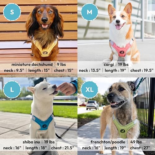 Gooby Memory Foam Step in Harness - Yellow, X-Small - No Pull Small Dog Harness Patented Choke-Free X Frame - Perfect on the Go Dog Harness for Medium Dogs No Pull or Small Dogs